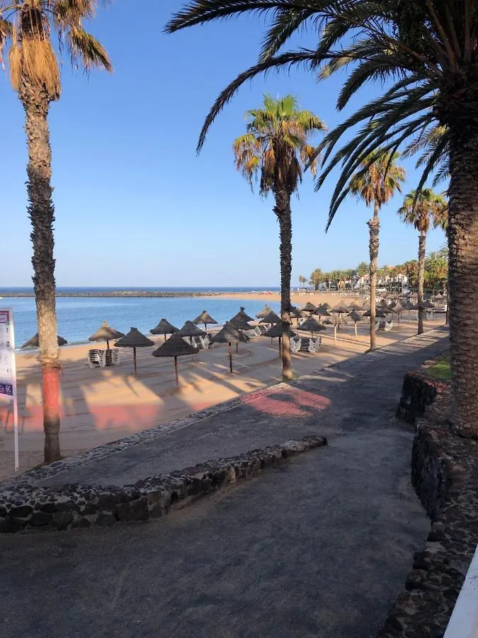 Go2Tenerife Apart'Gecko Extraordinary Sea View Arona  Daire Arona (Tenerife)