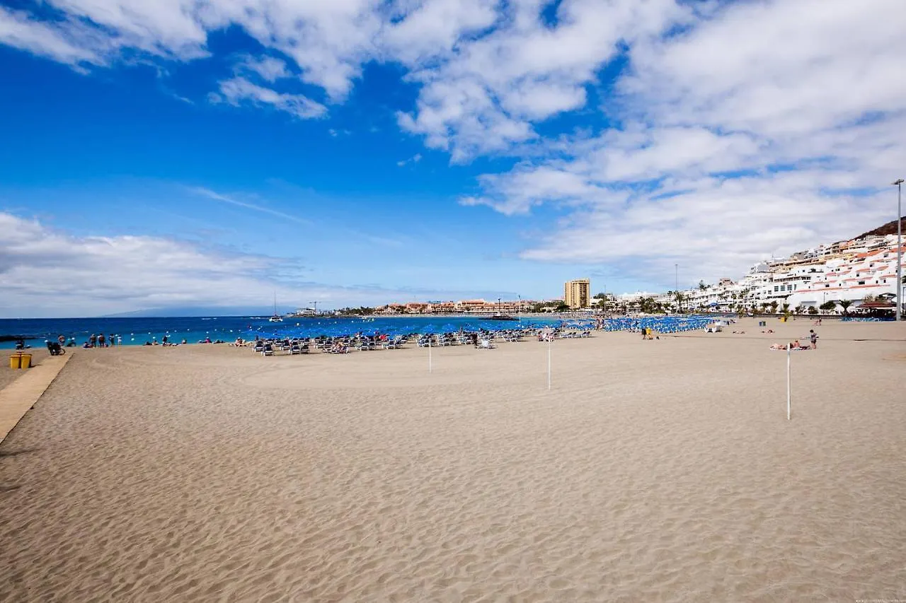 Daire Go2Tenerife Apart'Gecko Extraordinary Sea View Arona  İspanya